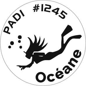 Trodat Stamp 46025