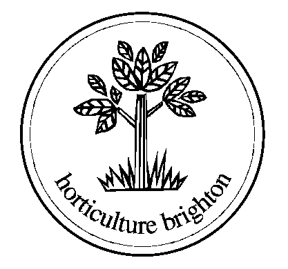 Trodat Stamp 4924